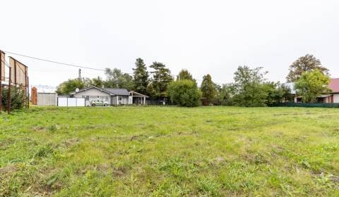 Land – for living, Cukrovarská, Sale, Trebišov, Slovakia