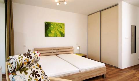 Studio, Žltá, Rent, Bratislava - Petržalka, Slovakia