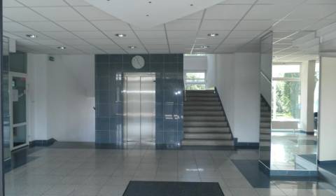 Offices, Drieňova, Rent, Bratislava - Ružinov, Slovakia