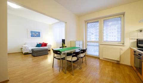 Very nice, spacious 1room apt, 47m2, balcony, petfriendly