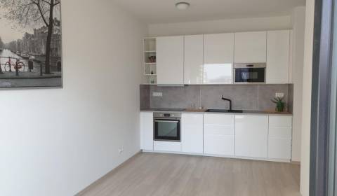 One bedroom apartment, Jarabinková, Rent, Bratislava - Ružinov, Slovak