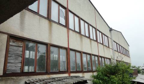 Rent Production premises, Production premises, Piešťany, Slovakia
