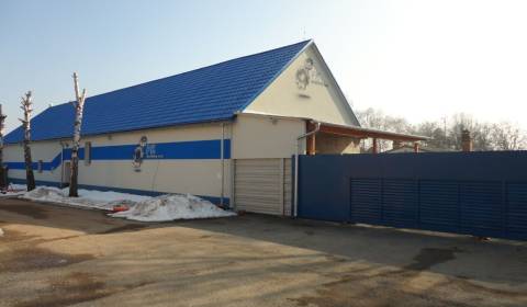 Rent Storehouses and Workshops, Piešťany, Slovakia