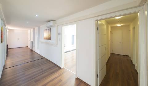 Unique 4bdr apt, 167m2, suitable for offices, city center