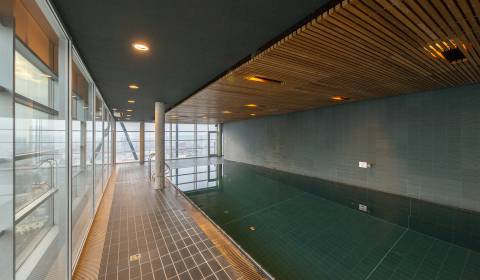 Pleasant, spacious 1bdr apt, 65m2, pool, balcony, parking, Rozadol