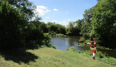 Land – for living, Starobystrická, Sale, Senec, Slovakia