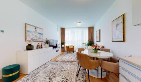 Beautiful 1-bedroom apartment in Sky Park