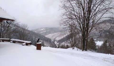 Recreational land, U Haladeji, Sale, Čadca, Slovakia