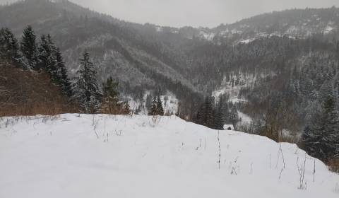 Recreational land, U Haladeji, Sale, Čadca, Slovakia