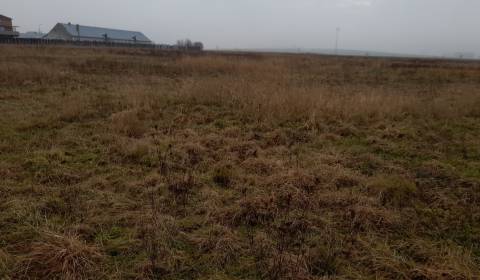 Agrarian and forest land, Sale, Martin, Slovakia