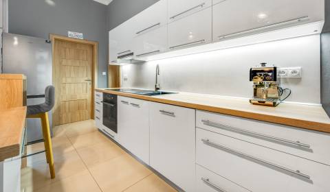 One bedroom apartment, Dobrovičova, Sale, Bratislava - Staré Mesto, Sl