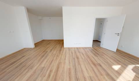 Studio, Myslenická, Sale, Pezinok, Slovakia