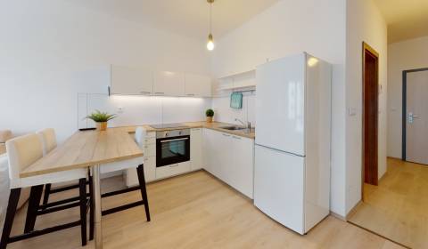 Studio, Mlynské nivy, Sale, Bratislava - Ružinov, Slovakia