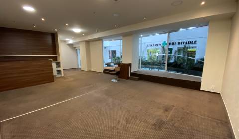 Commercial premises, Gorkého, Rent, Bratislava - Staré Mesto, Slovakia