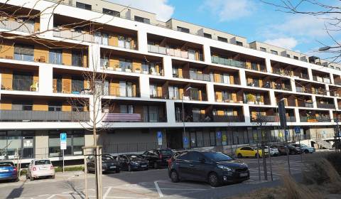Single studio, Žltá, Rent, Bratislava - Petržalka, Slovakia