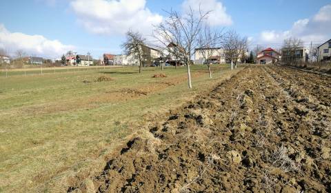 Land – for living, Sale, Bardejov, Slovakia