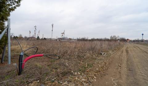 Land – for living, Sale, Trebišov, Slovakia