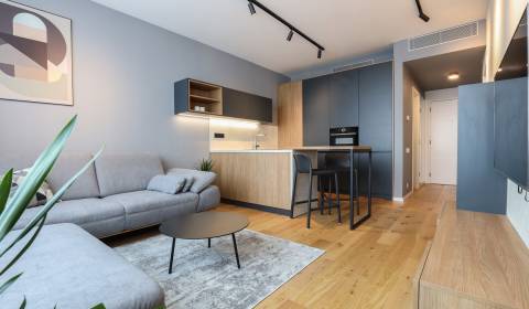 One bedroom apartment, Továrenská, Rent, Bratislava - Staré Mesto, Slo