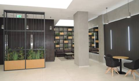 Offices, Stará Vajnorská, Rent, Bratislava - Nové Mesto, Slovakia