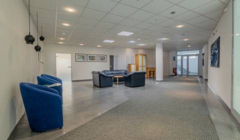 Get out of custody on a working day in a classic office