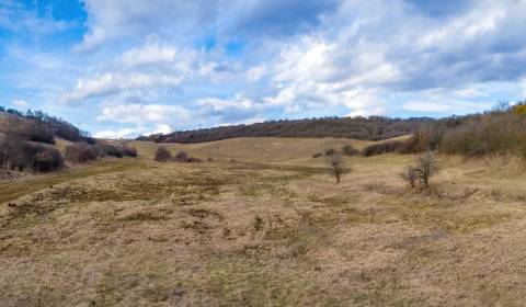 Land – for living, Levočská, Sale, Prešov, Slovakia