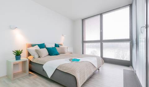 One bedroom apartment, Pribinova, Rent, Bratislava - Staré Mesto, Slov