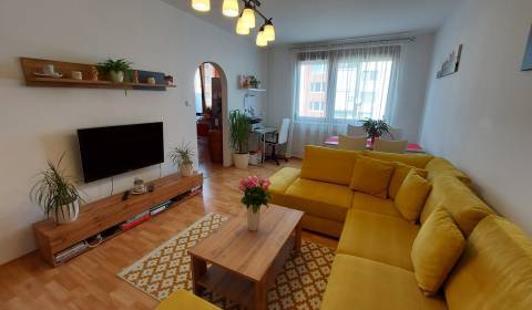 One bedroom apartment, Hollého, Sale, Šaľa, Slovakia