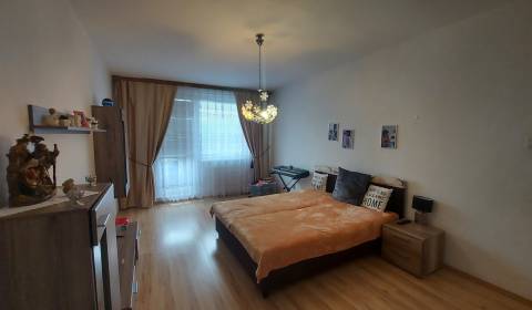 One bedroom apartment, Sale, Šaľa, Slovakia
