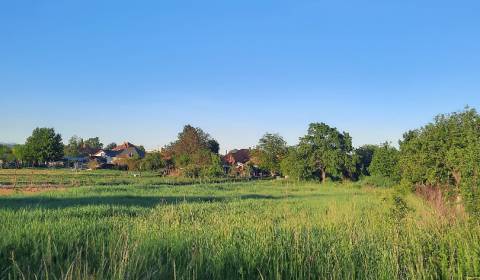 Land – for living, Vajka nad Žitavou, Sale, Nitra, Slovakia