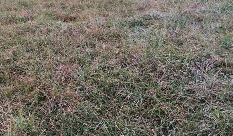 Land plots - commercial, Sale, Trnava, Slovakia