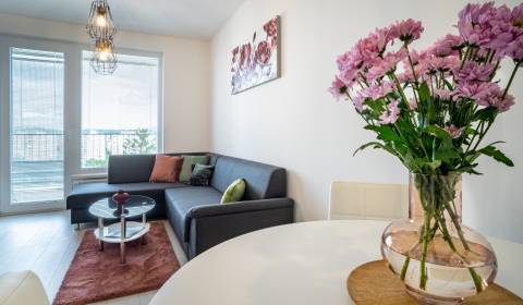One bedroom apartment, Inovecká, Rent, Košice - Západ, Slovakia