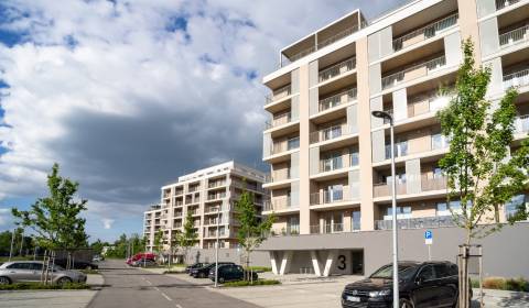 One bedroom apartment, Inovecká, Rent, Košice - Západ, Slovakia