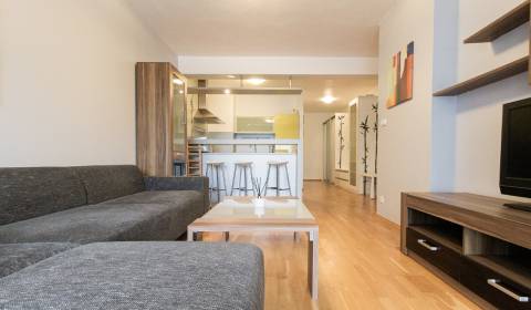 Spacious 1-bdrm apartment in modern building in Bratislava for rent