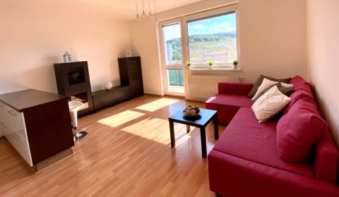 Studio, Saratovská, Sale, Bratislava - Dúbravka, Slovakia