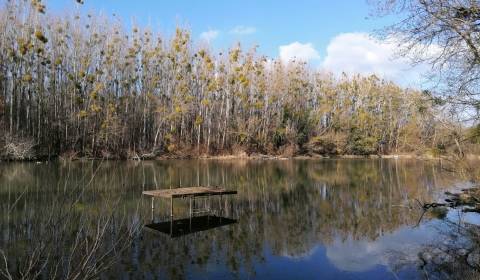 Sale Land – for living, Jahodná, Dunajská Streda, Slovakia