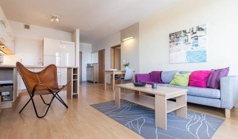 Rent One bedroom apartment, Ružová dolina