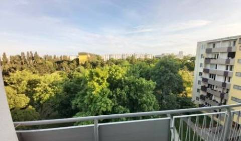 One bedroom apartment, Sputniková, Rent, Bratislava - Ružinov, Slovaki