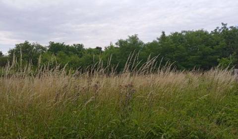 Land – for living, Sale, Šaľa, Slovakia