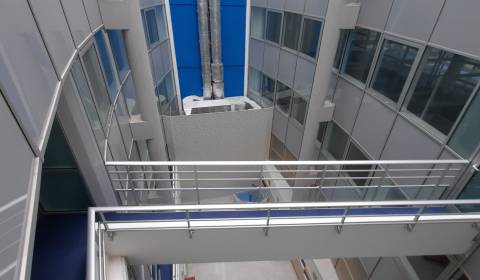 Offices, Dobrovičova, Rent, Bratislava - Staré Mesto, Slovakia