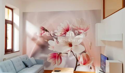 Rent Two bedroom apartment, Two bedroom apartment, Mlynská, Košice - S