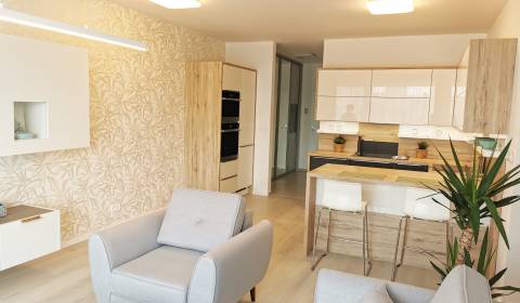 Two bedroom apartment, Martina Granca, Rent, Bratislava - Dúbravka, Sl
