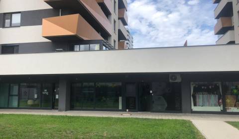 Commercial premises, Muchovo nám., Rent, Bratislava - Petržalka, Slova