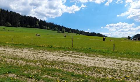 Agrarian and forest land, Kunerad, Sale, Žilina, Slovakia