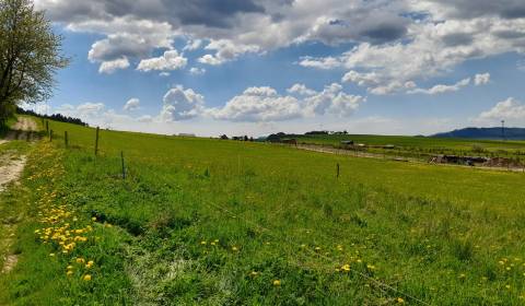Agrarian and forest land, Kunerad, Sale, Žilina, Slovakia