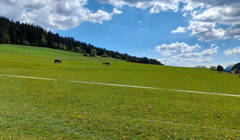 Agrarian and forest land, Kunerad, Sale, Žilina, Slovakia