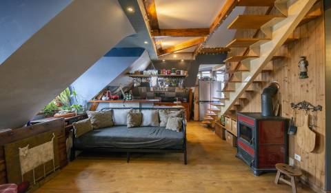 RESERVED Charming attic 2 bedroom duplex with fireplace, Nivy