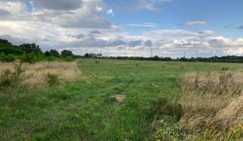 Land plots - commercial, Senecká cesta, Sale, Pezinok, Slovakia