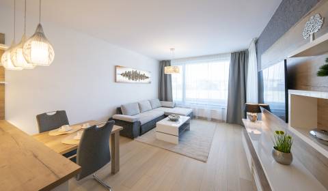 Beautiful sunny 1bdr apt 55 m2, with loggia and parking, SKY PARK 