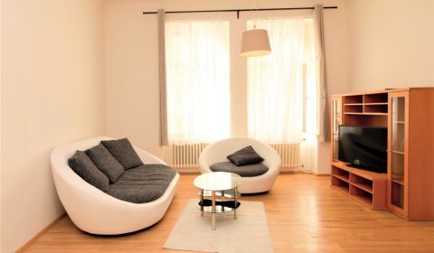 Spacious 1-bdrm apartment in city centre in Bratislava