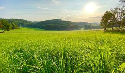 Land – for living, Sale, Banská Štiavnica, Slovakia